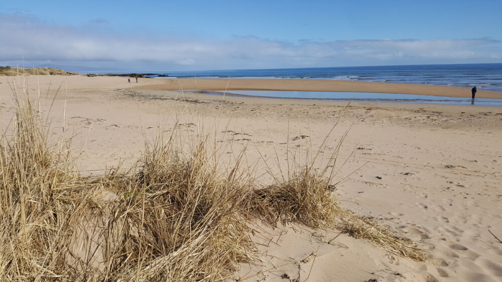 Dornoch Beach