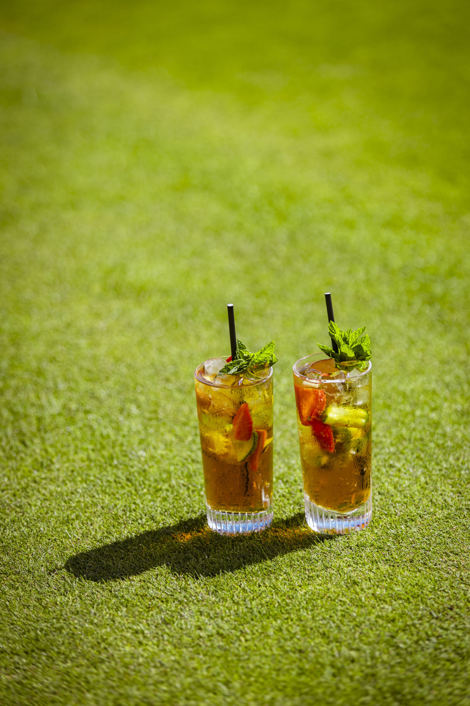RGD pimms on grass portrait 3 E8 A0123