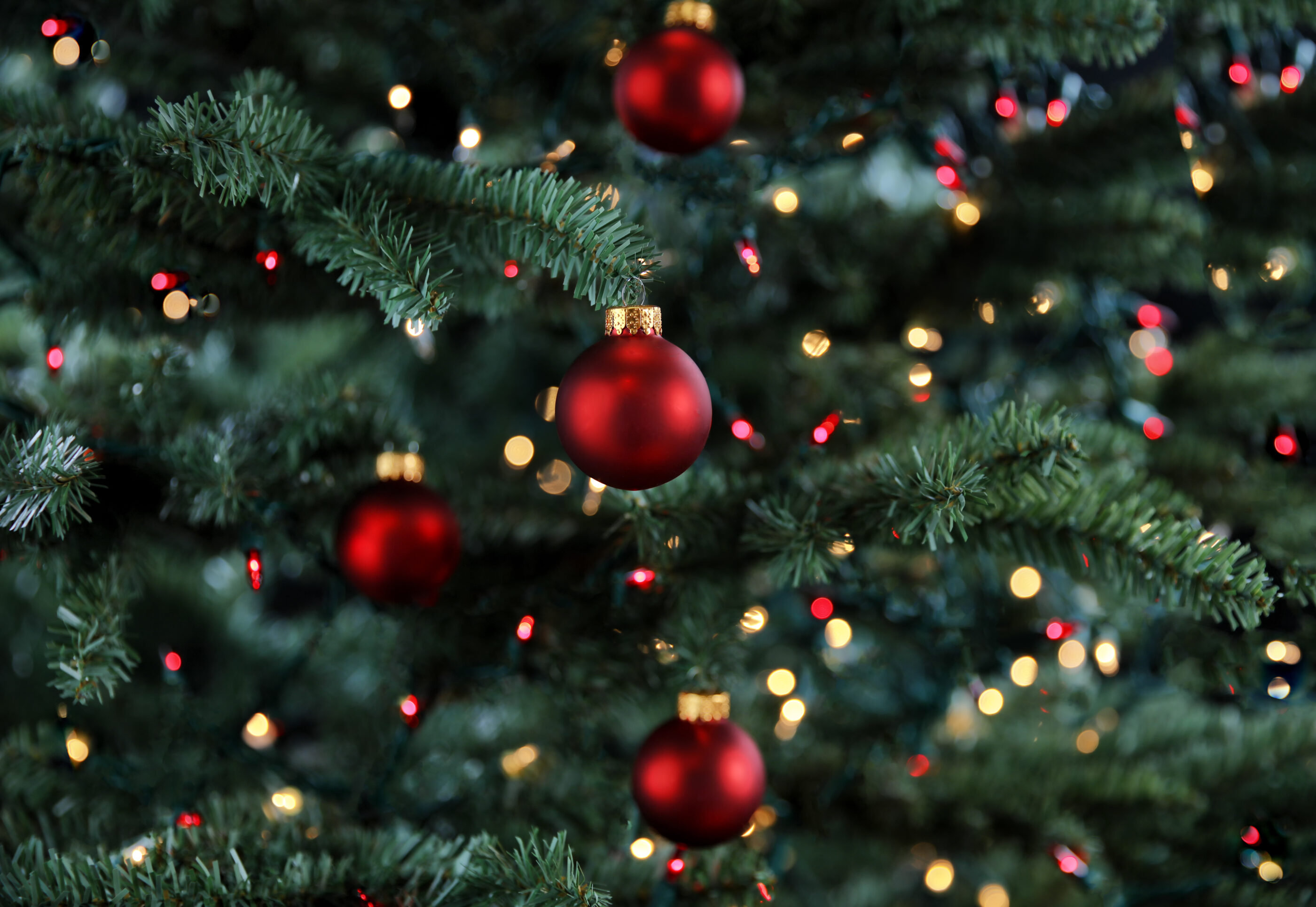 RGD FESTIVE LUNCHES Adobe Stock 282162172