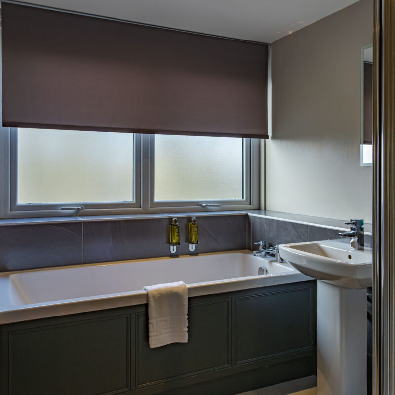 RDG Deluxe Bathroom 1