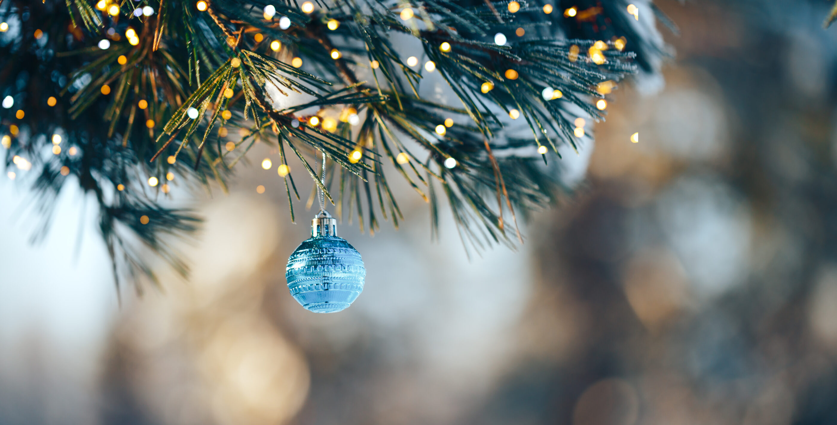 Adobe Stock 310367615