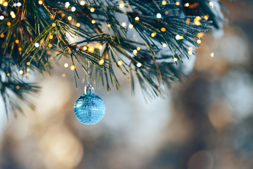 Adobe Stock 310367615