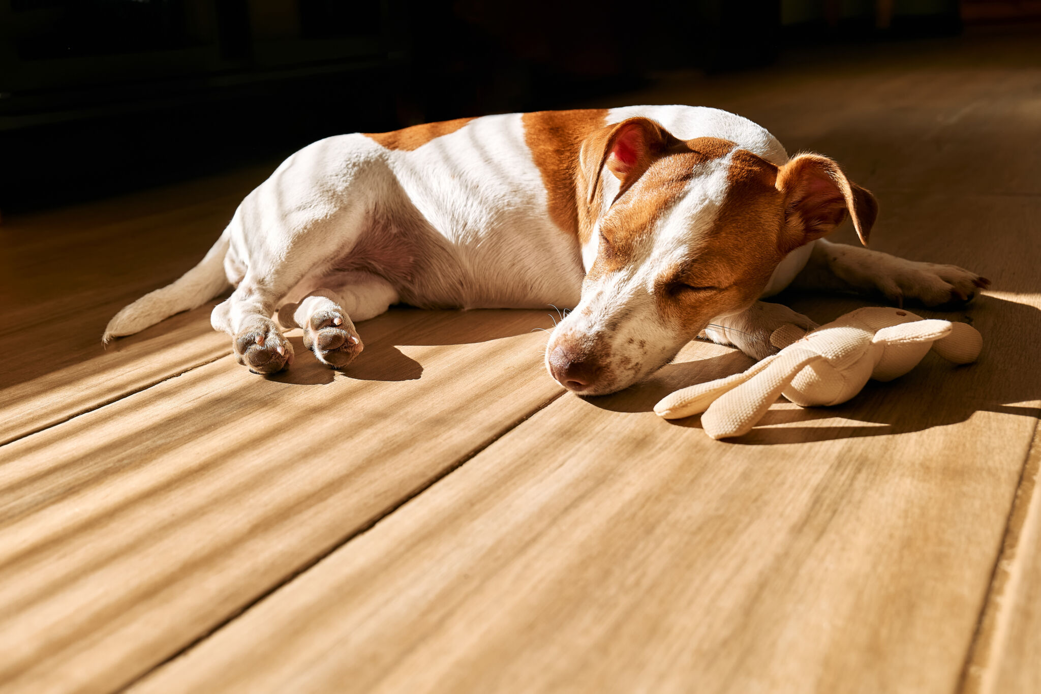 Adobe Stock 689570707