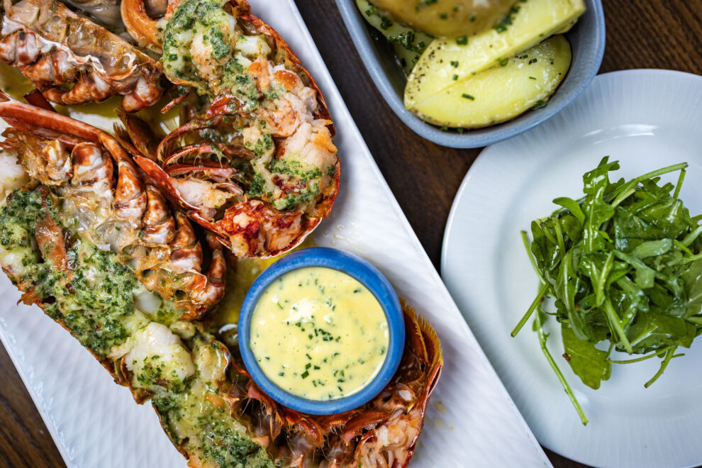 TON lobster4